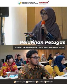 Pelatihan Petugas Survei Penyusunan Disagregasi PMTB 2024