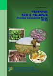 Statistics Of Paddy And Secondary Food Crops Kalimantan Timur Province 2013