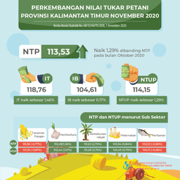 NTP November 2020 Sebesar 113,53 Atau Naik 1,29 Persen Dibanding NTP Pada Bulan Oktober 2020